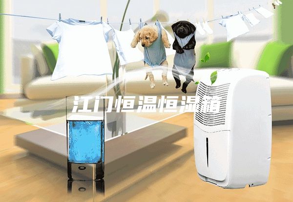 江门恒温恒湿箱