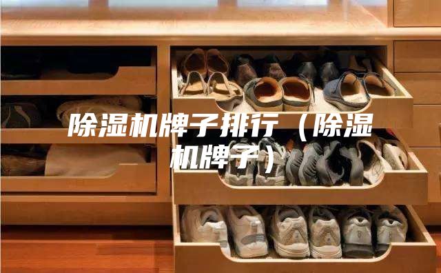 除湿机牌子排行(除湿机牌子)