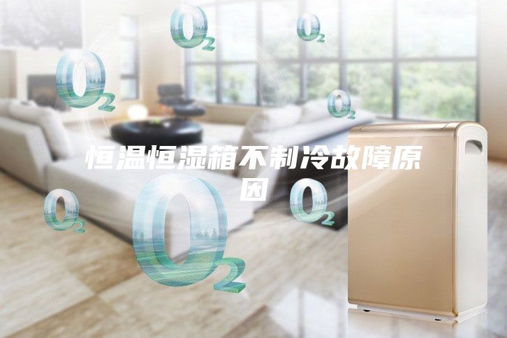 恒温恒湿箱不制冷故障原因