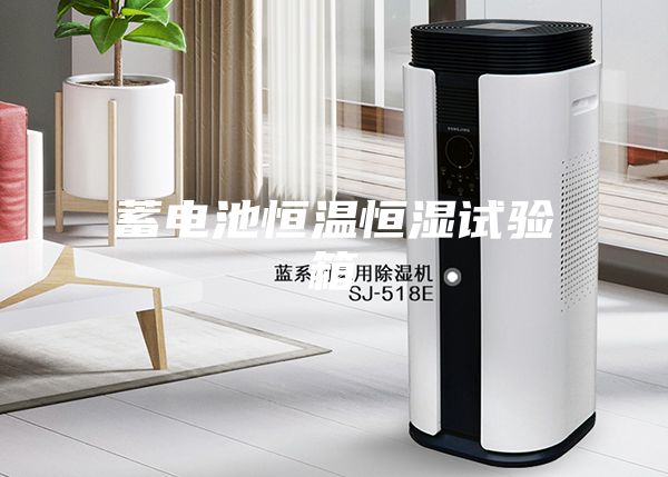 蓄电池恒温恒湿试验箱