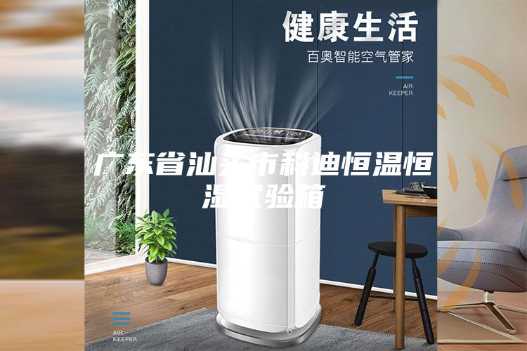 广东省汕头市科迪恒温恒湿试验箱