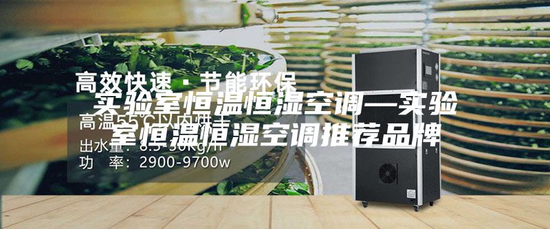实验室恒温恒湿空调—实验室恒温恒湿空调推荐品牌
