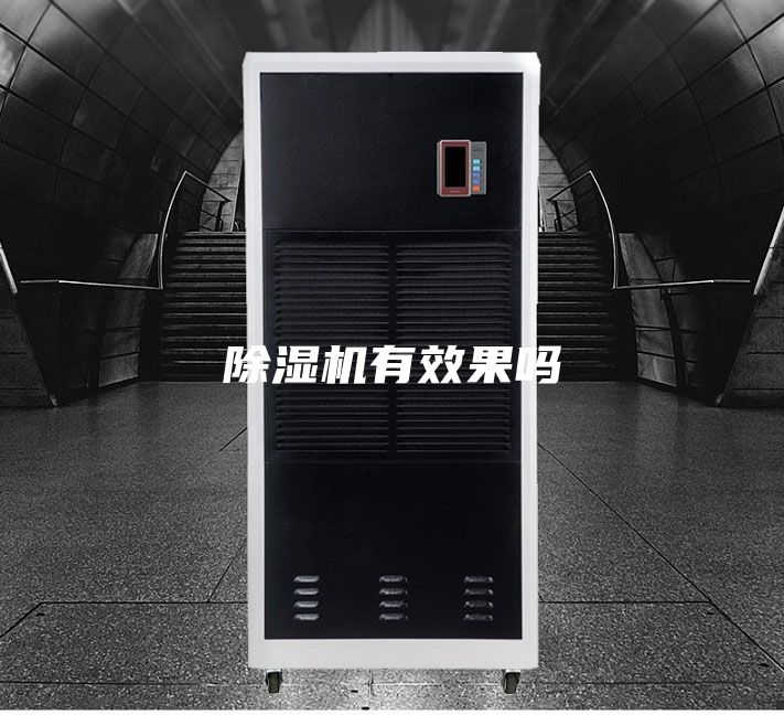 除湿机有效果吗