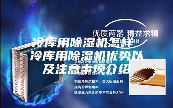 冷库用除湿机怎样 冷库用除湿机优势以及注意事项介绍