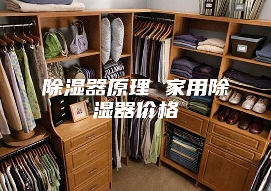 除湿器原理 家用除湿器价格