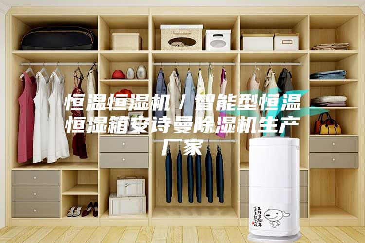 恒温恒湿机/智能型恒温恒湿箱安诗曼除湿机生产厂家