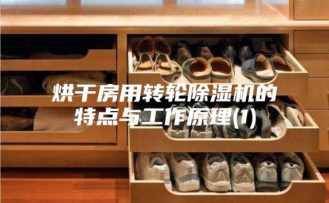 烘干房用转轮除湿机的特点与工作原理(1)