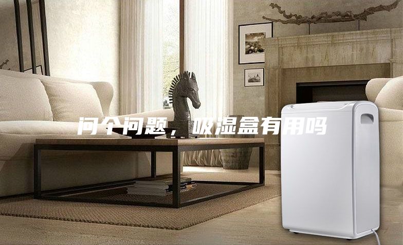 问个问题，吸湿盒有用吗
