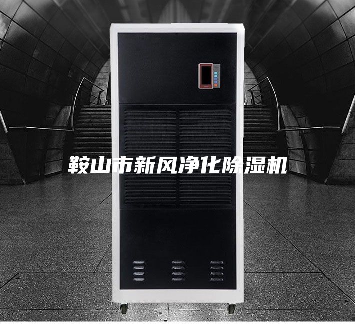 鞍山市新风净化除湿机