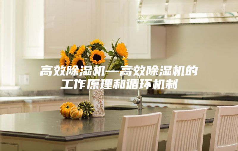 高效除湿机—高效除湿机的工作原理和循环机制