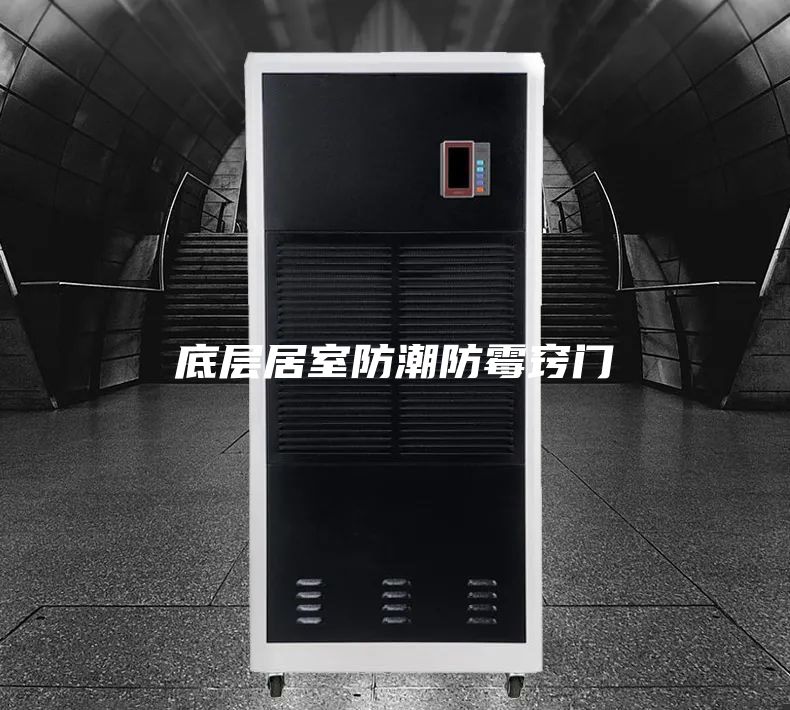 底层居室防潮防霉窍门