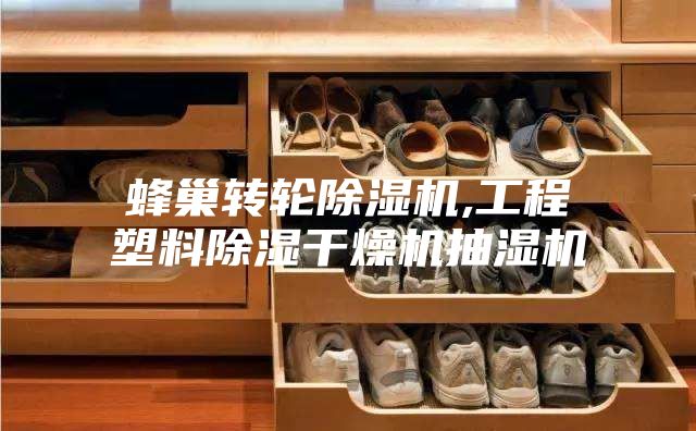 蜂巢转轮除湿机,工程塑料除湿干燥机抽湿机