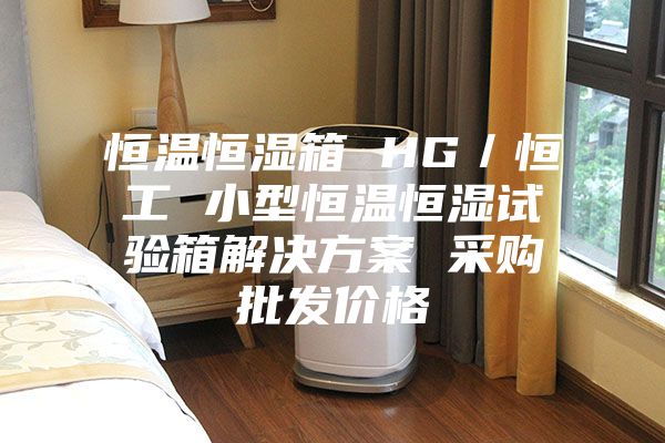 恒温恒湿箱 HG/恒工 小型恒温恒湿试验箱解决方案 采购批发价格