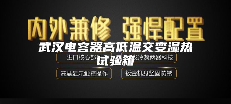 武汉电容器高低温交变湿热试验箱
