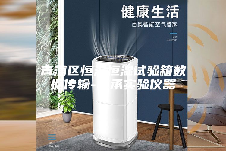 青浦区恒温恒湿试验箱数据传输-标承实验仪器