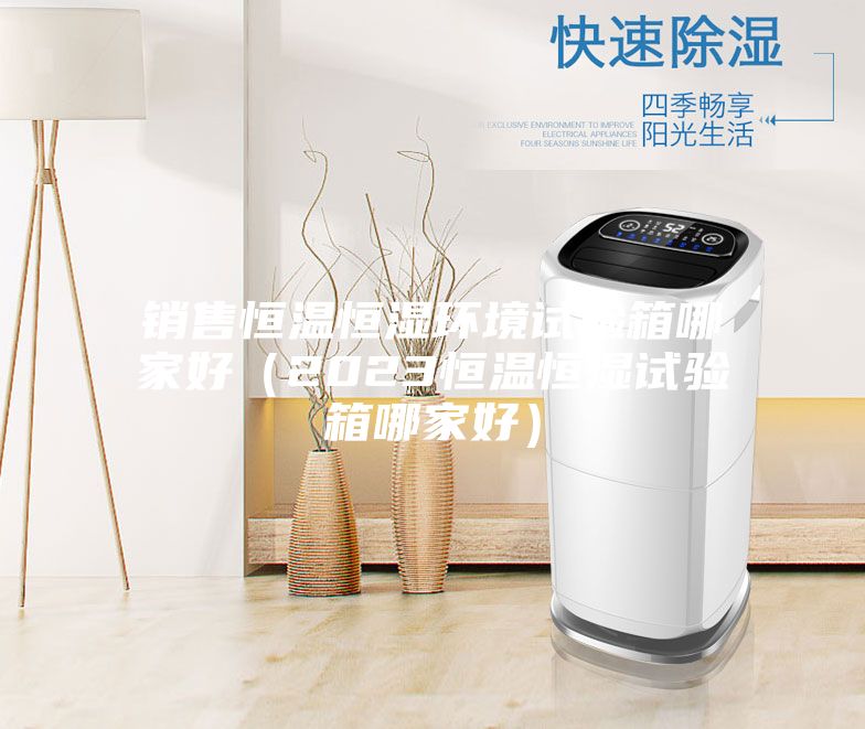 销售恒温恒湿环境试验箱哪家好（2023恒温恒湿试验箱哪家好）