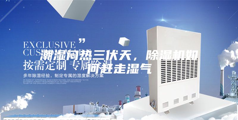 潮湿闷热三伏天，除湿机如何赶走湿气