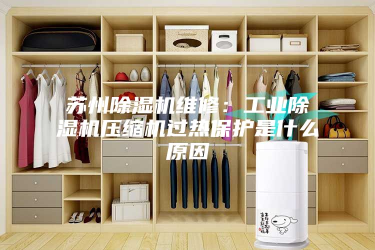 苏州除湿机维修：工业除湿机压缩机过热保护是什么原因