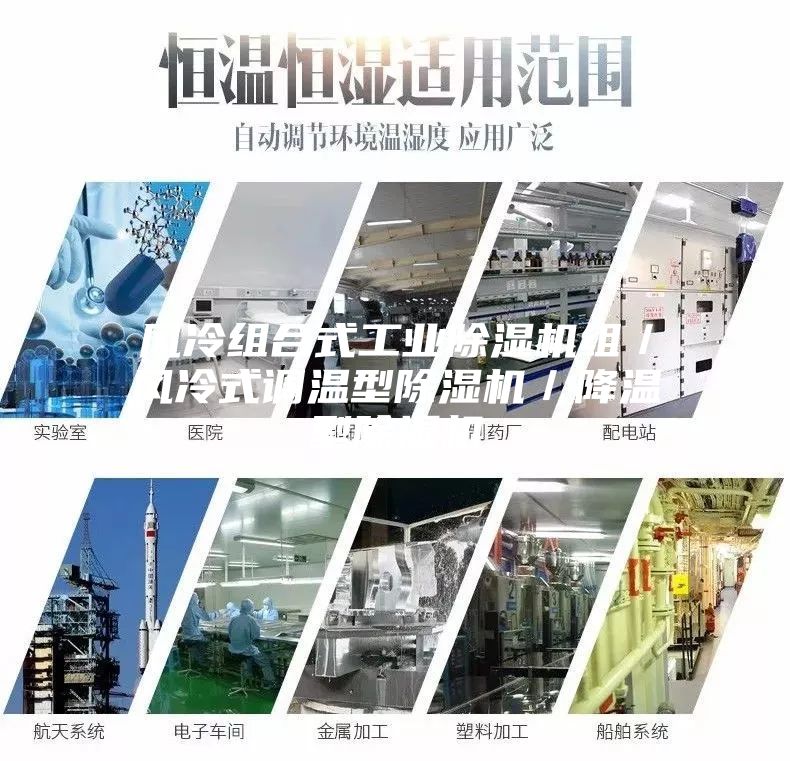 风冷组合式工业除湿机组/风冷式调温型除湿机/降温型除湿机
