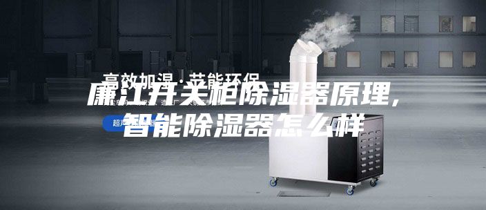 廉江开关柜除湿器原理,智能除湿器怎么样