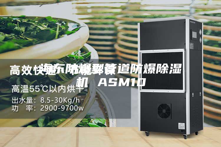 海东防爆型管道防爆除湿机 ASM10
