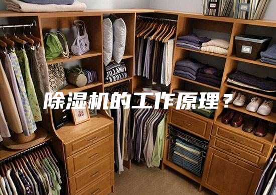 除湿机的工作原理?