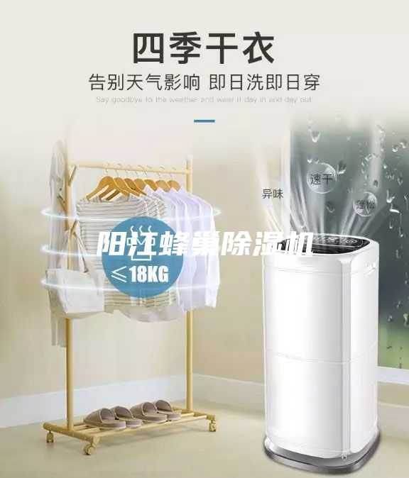 阳江蜂巢除湿机