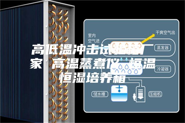 高低温冲击试验箱厂家 高温蒸煮仪 恒温恒湿培养箱