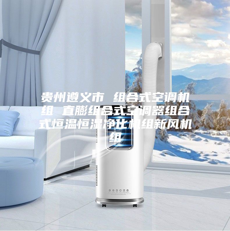 贵州遵义市 组合式空调机组 直膨组合式空调器组合式恒温恒湿净化机组新风机组