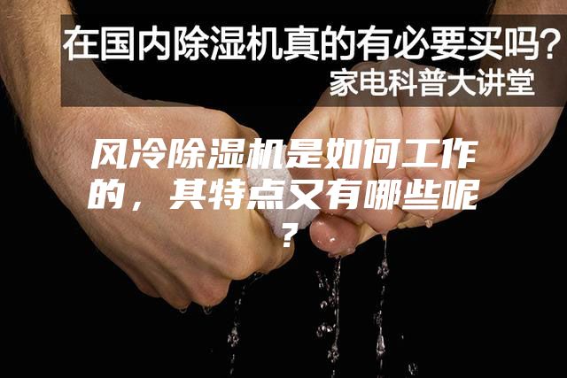 风冷除湿机是如何工作的,其特点又有哪些呢?