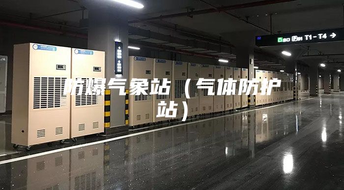 防爆气象站（气体防护站）