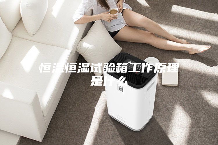 恒温恒湿试验箱工作原理是什么