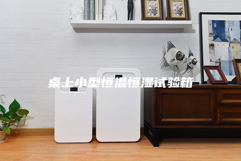 桌上小型恒温恒湿试验箱