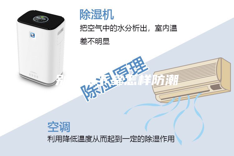 别墅地下室怎样防潮