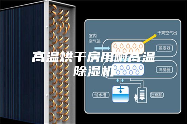 高温烘干房用耐高温除湿机