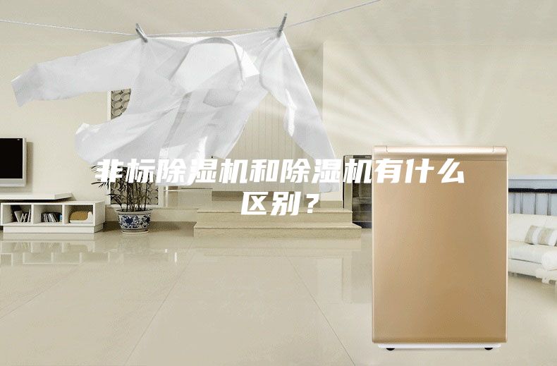 非标除湿机和除湿机有什么区别?
