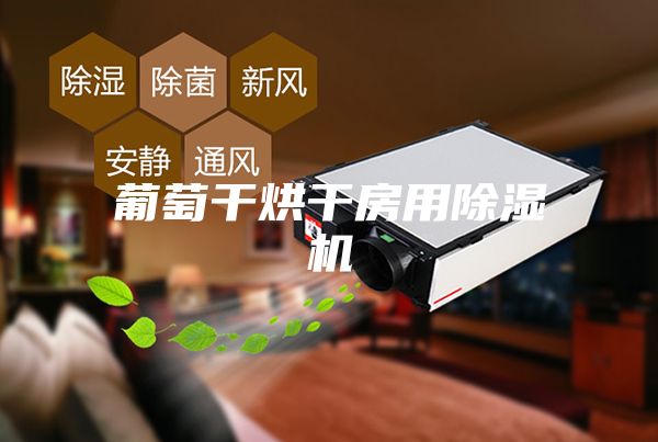 葡萄干烘干房用除湿机