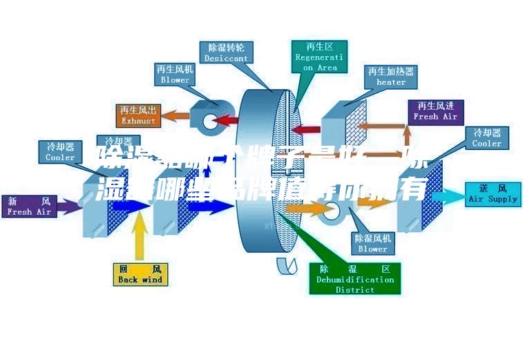 除湿器哪个牌子最好—除湿器哪些品牌值得你拥有