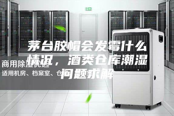 茅台胶帽会发霉什么情况，酒类仓库潮湿问题求解