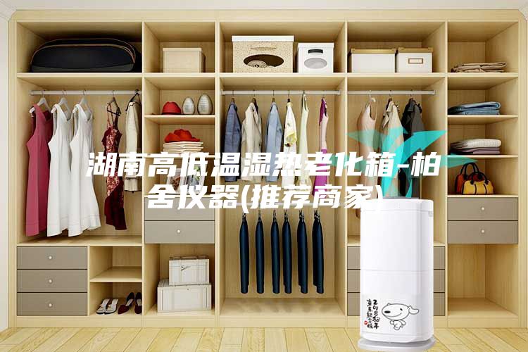 湖南高低温湿热老化箱-柏舍仪器(推荐商家)