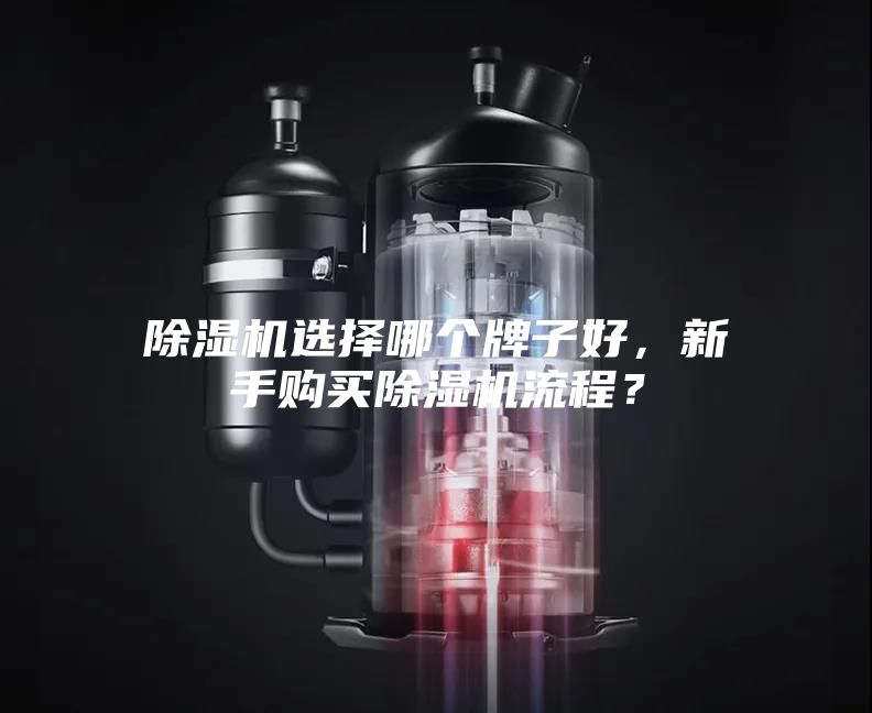 除湿机选择哪个牌子好,新手购买除湿机流程?