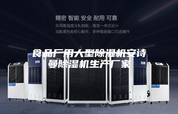 食品厂用大型除湿机安诗曼除湿机生产厂家