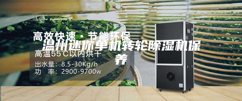 温州迷你单机转轮除湿机保养