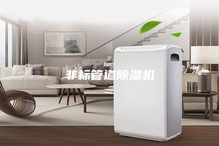 非标管道除湿机