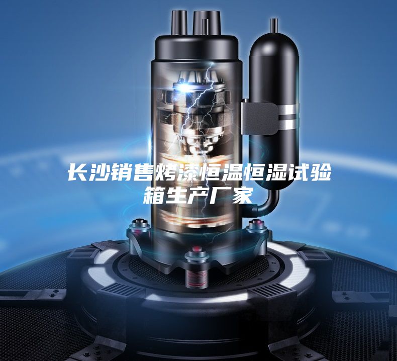 长沙销售烤漆恒温恒湿试验箱生产厂家