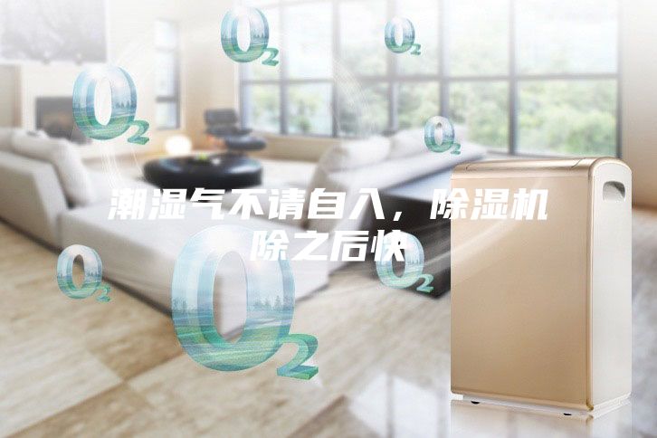 潮湿气不请自入，除湿机除之后快