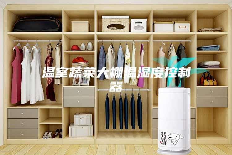 温室蔬菜大棚温湿度控制器