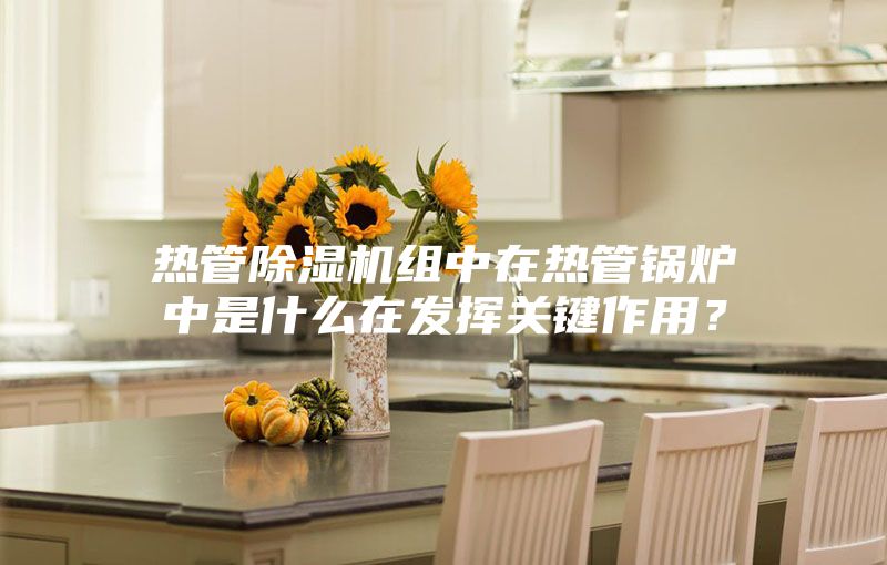 热管除湿机组中在热管锅炉中是什么在发挥关键作用？
