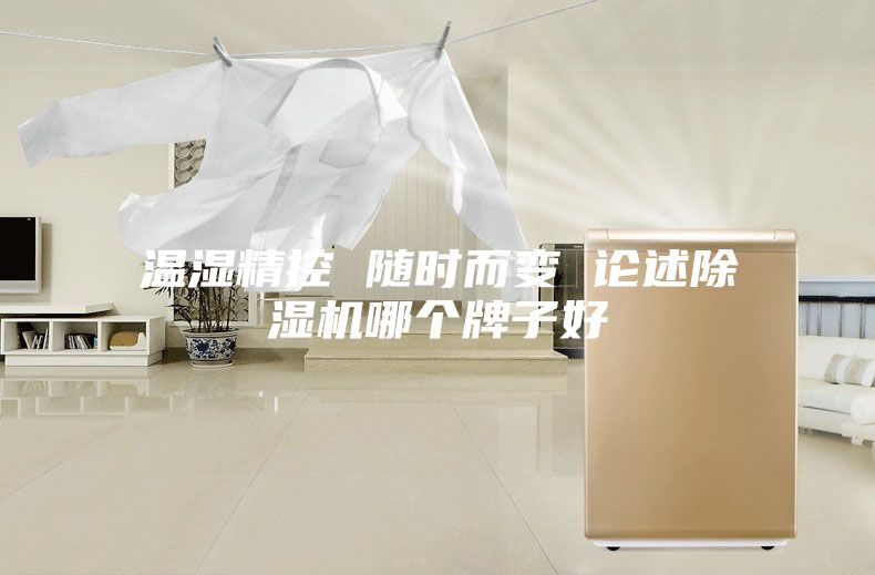 温湿精控 随时而变 论述除湿机哪个牌子好