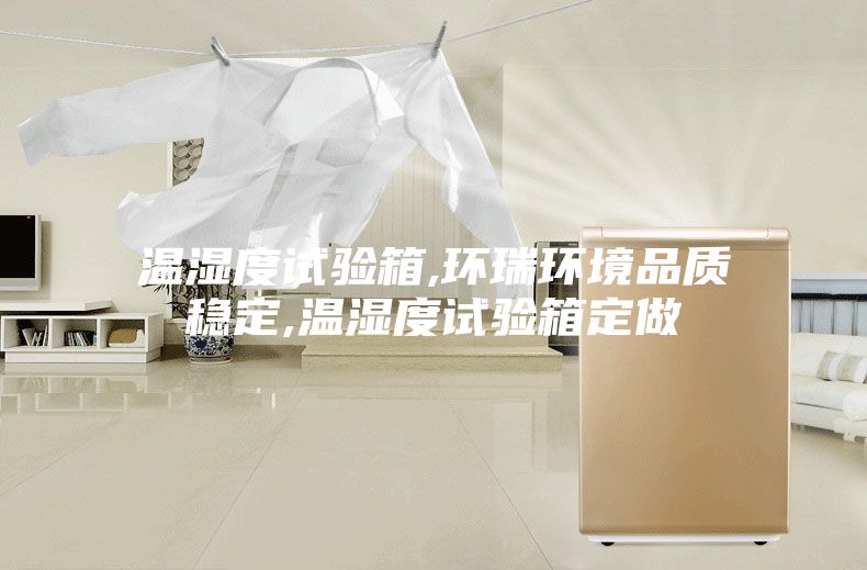 温湿度试验箱,环瑞环境品质稳定,温湿度试验箱定做